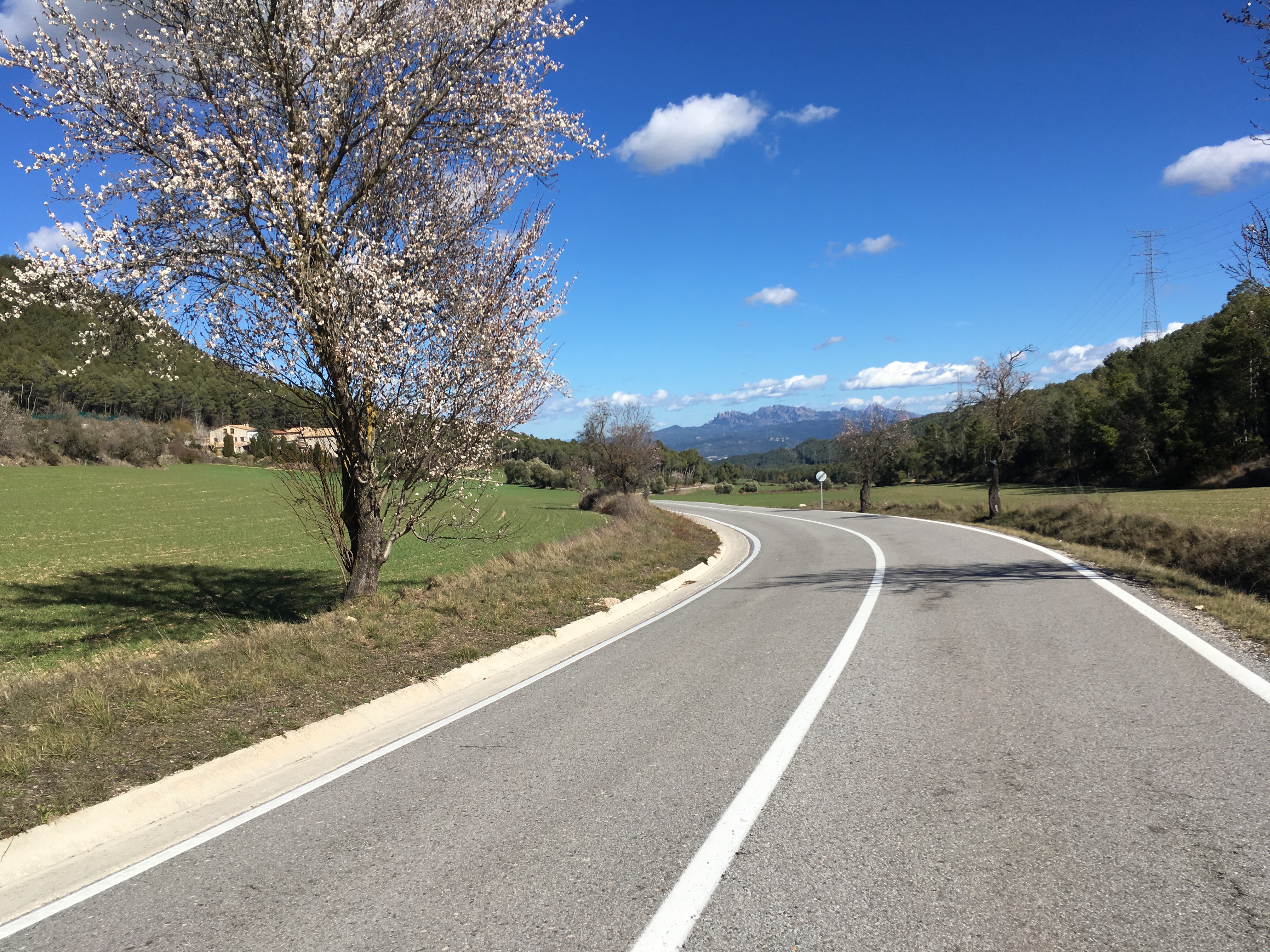 Everesting Montserrat